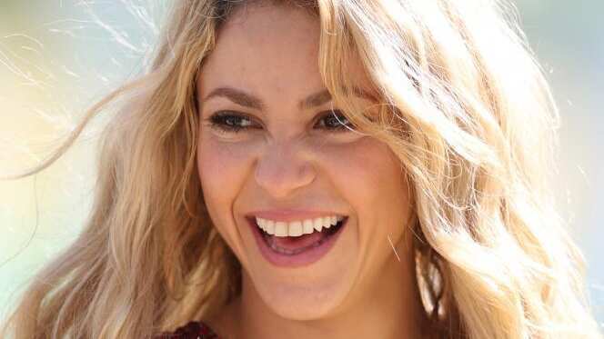 Fuentes aseguran que 300 millones es la suma aproximada del patrimonio de Shakira.