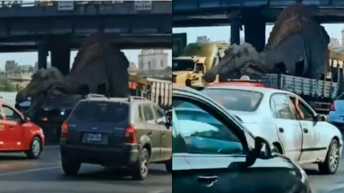 El video del dinosaurio se volvió viral