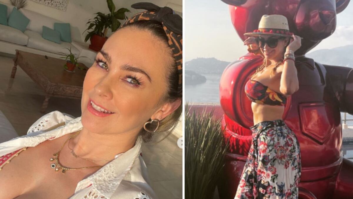 Aracely Arámbula looks