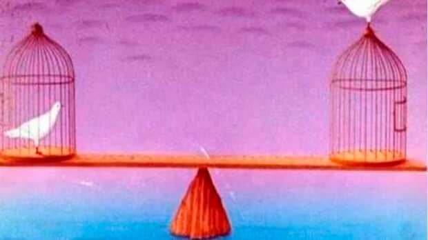 Elige una de las opciones.