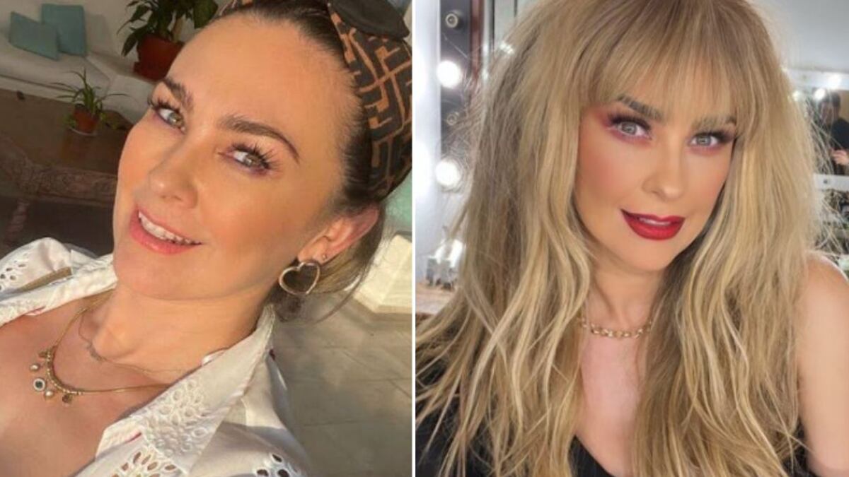 Aracely Arámbula sexy foto