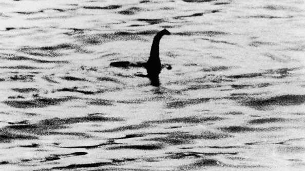 Revelaron la verdad tras un nuevo avistamiento