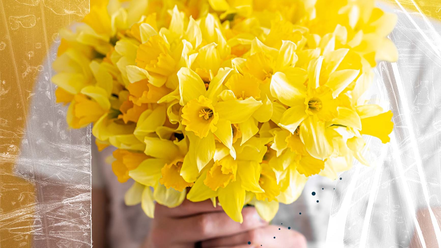 El verdadero significado de regalar flores amarillas.