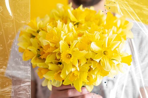 ¡Aún hay tiempo! El motivo por el que puedes regalar flores amarillas hasta el 23 de septiembre