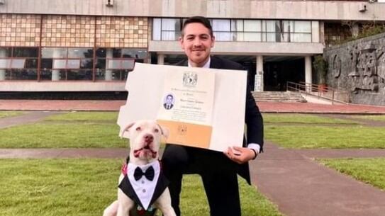 El perro acompañó a su humano a la graduación