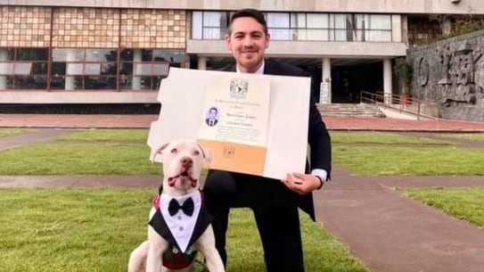 El perro acompañó a su humano a la graduación