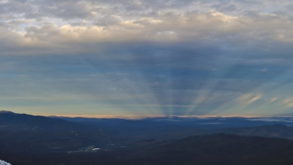 Las imágenes llamaron la atención en redes sociales