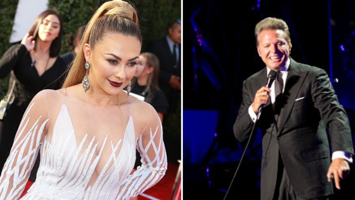 Aracely ha sido una mujer todo terreno en su carrera artística, actriz, presentadora de televisión y también cantante