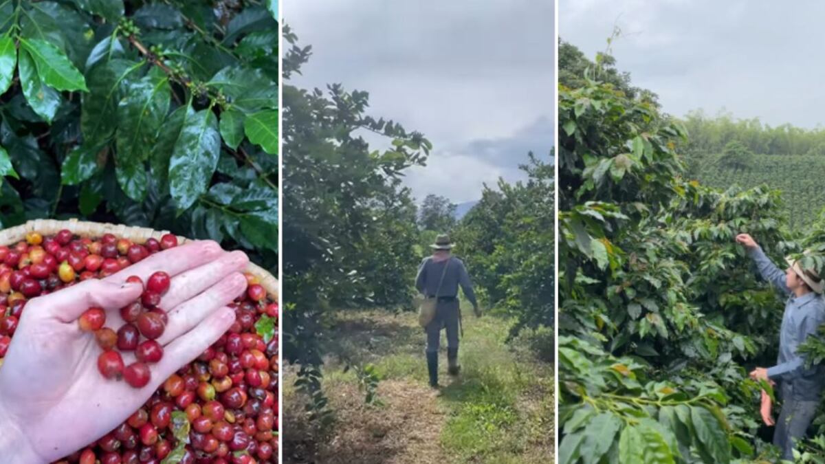 Juan Sebastián Valencia, director del cortometraje Café perseguida, lideró la elección de los protagonistas en unos exigentes castings