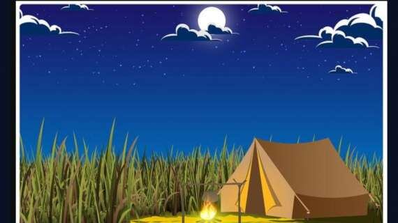 Encuentra el sombrero oculto.