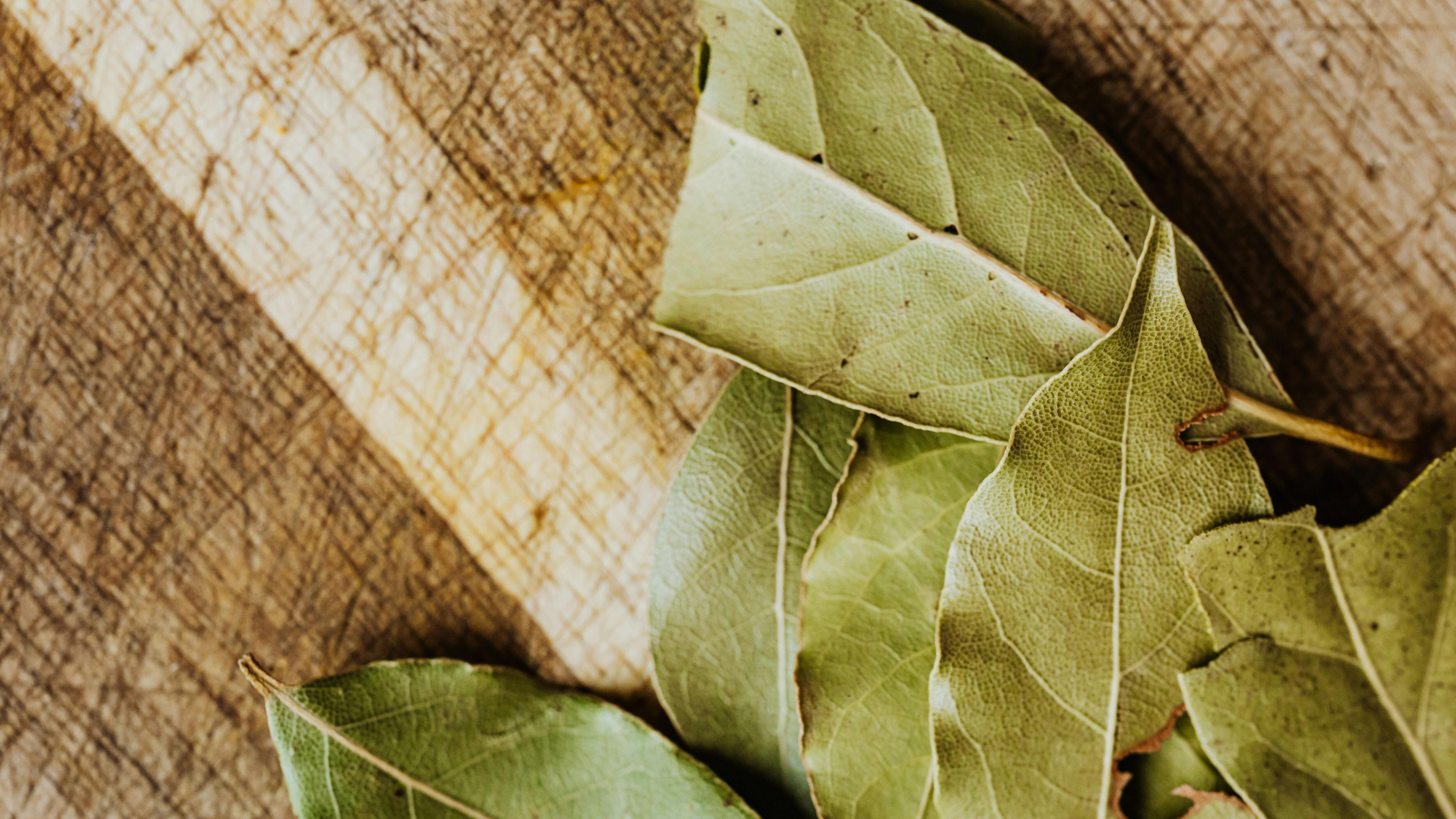 ¿Cómo usar el laurel en el shampoo para hacer crecer el cabello en solamente una semana?