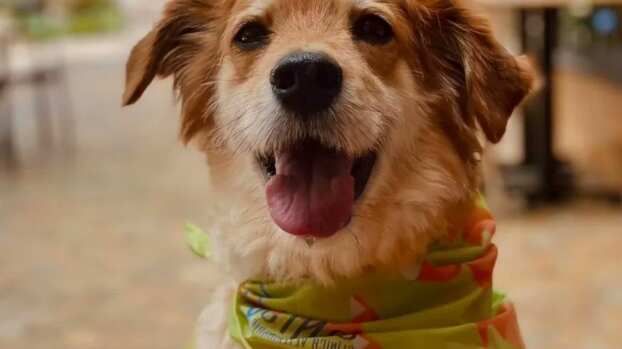 La conversación se volvió viral