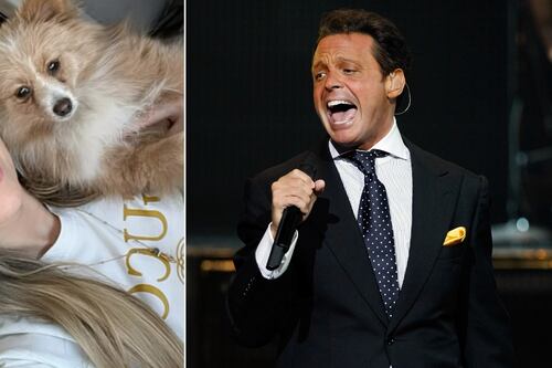 ¿Se enojó? Esta fue la reacción de Aracely Arámbula a la foto de Luis Miguel con Michelle Salas