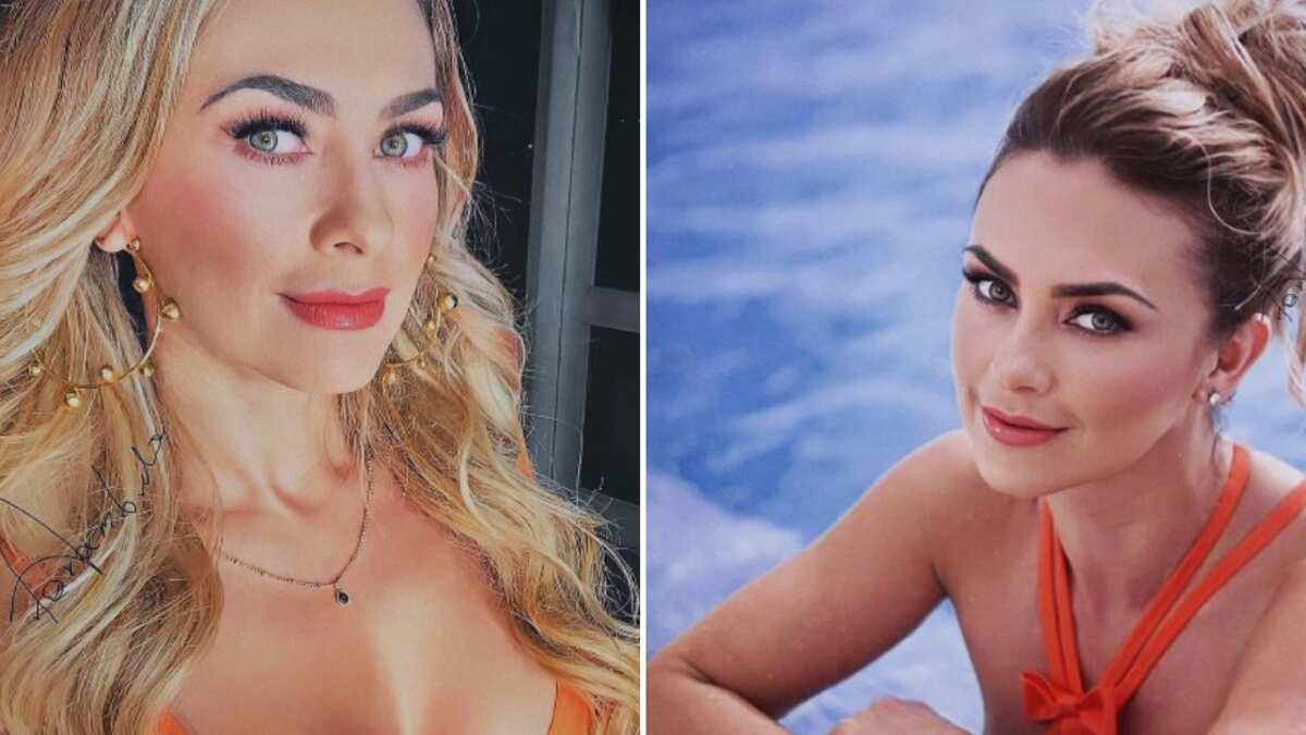 Aracely Arámbula no se detiene, y 2022 fue el año de su triunfal regreso, protagonizando La Madrastra