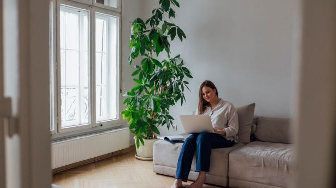 Plantas e Feng Shui: como sua energia influencia a casa?