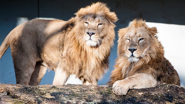 La historia se hizo conocida