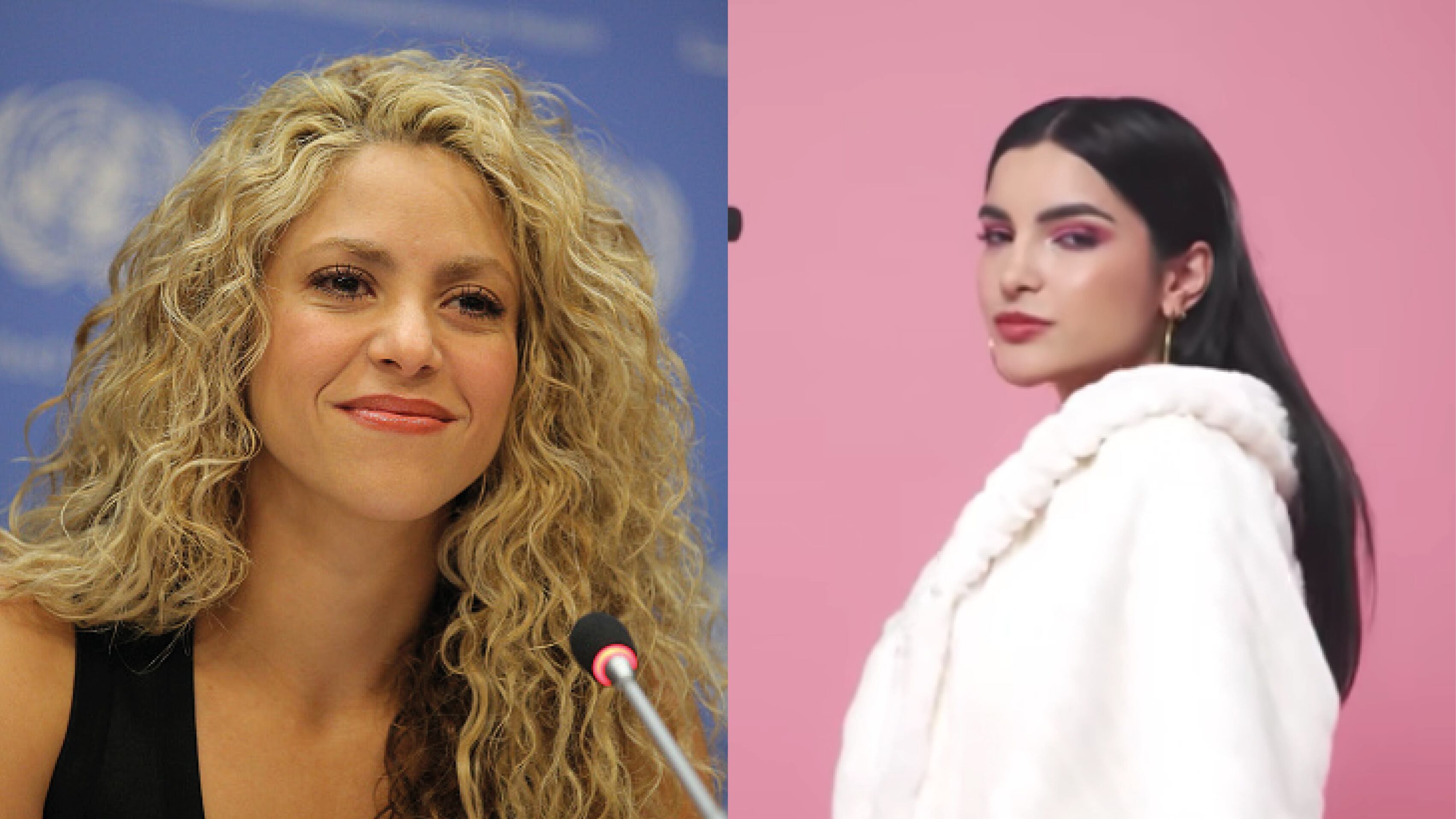 Shakira no habría plagiado a Briella