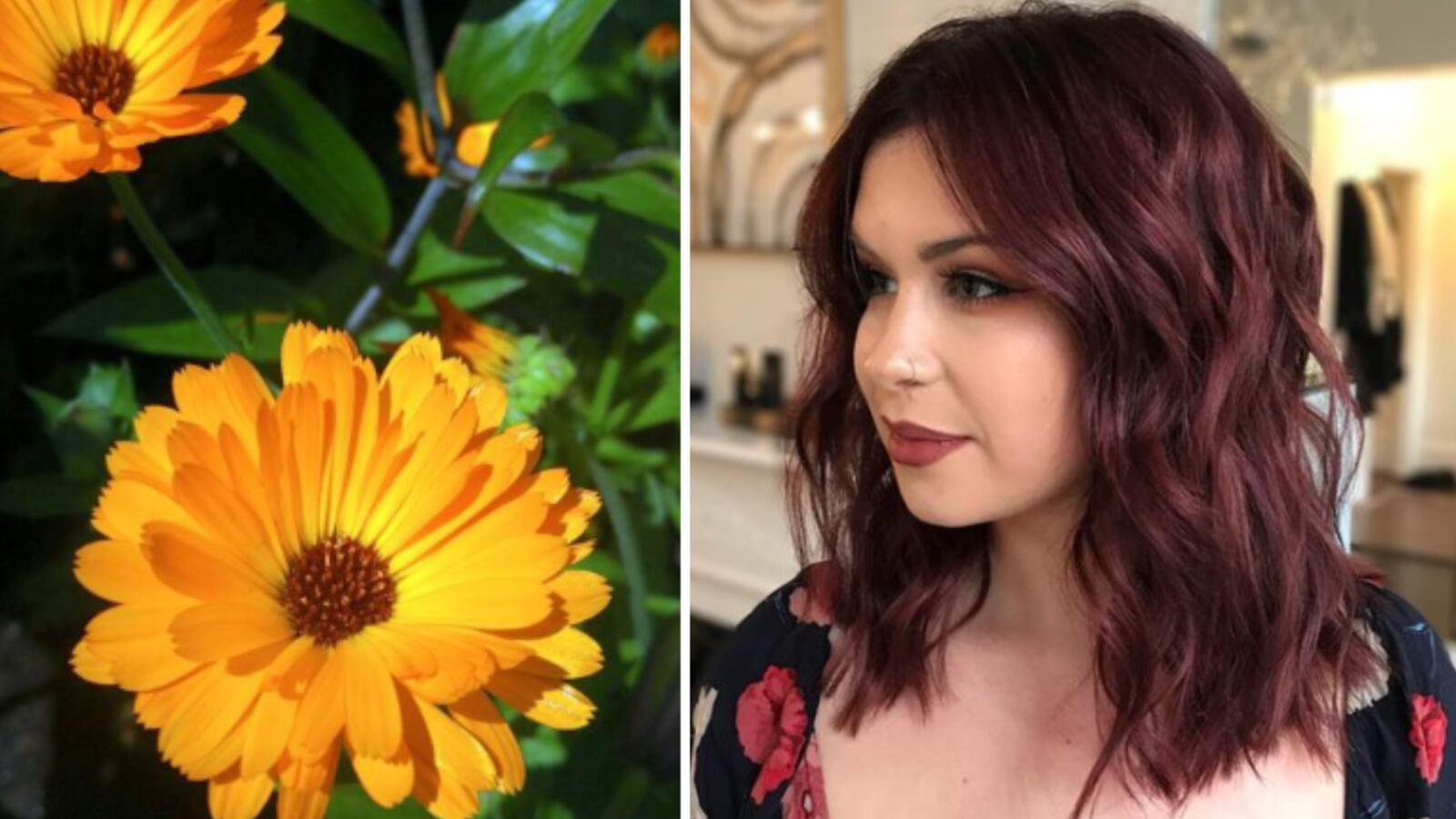 tinte vegetal de flor de jamaica y caléndula