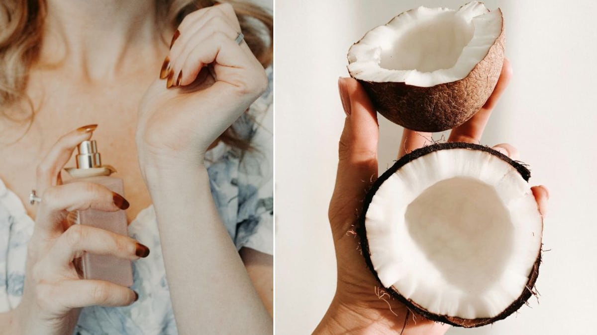 Los perfumes con olor a coco son exquisitos e ideales para la temporada de calor