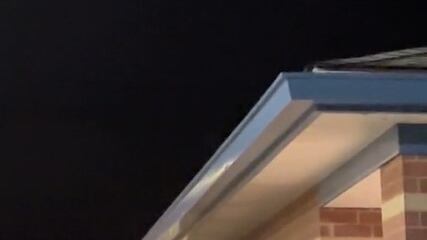 El video se volvió viral