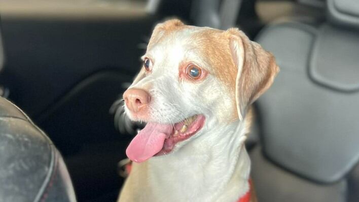 El caso indignó a todos