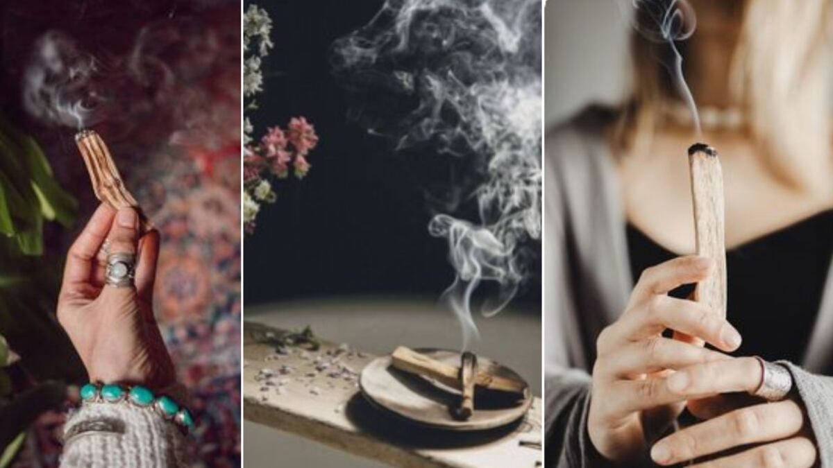 Palo santo: la forma correcta de usarlo para atraer la abundancia y el dinero